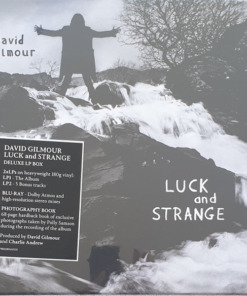 David Gilmour Vinyl Luck and Strange