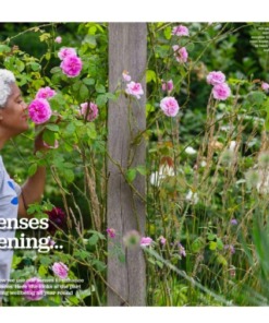 BBC Gardeners World Magazine January/February 2026 Arit News