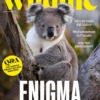 BBC Wildlife Magazine January 2026/538