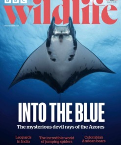 BBC Wildlife Magazine Spr 26/541