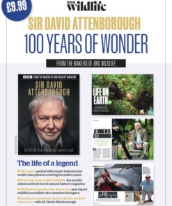 Sir David Attenborough -100 Years of Wonder Magazine