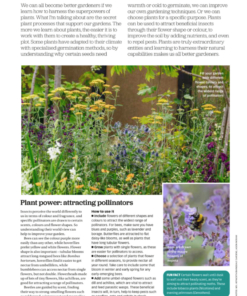 BBC Gardeners World May 2 for 1 Inside Page Understanding Plant 2