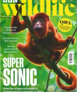 BBC Wildlife Magazine April 2026 Issue 542