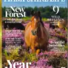 Hampshire Life Magazine July 2026