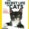 National Geographic Collectors Edition Magazine Secret cats
