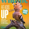 BBC Wildlife Magazine July 2026 Issue 545