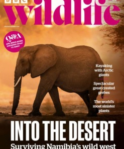 BBC Wildlife Magazine September 2026 Issue 547