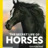 National Geographic Special Magazine Horses