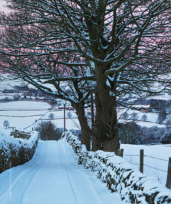Country Living Collection Christmas 2026 - Image 11