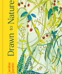 Drawn to Nature Hardback Book by Caroline Quentin Front Cover